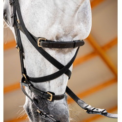 Bridon Horseware Micklem® Multi Bridon Horseware Micklem® Multi