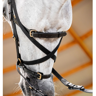 Bridon Horseware Micklem® Multi Bridon Horseware Micklem® Multi