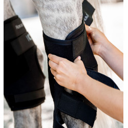 Guêtres pour jarrets Horseware Ionic® Therapy