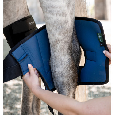Horseware Ionic Therapy spronggewrichtbeschermers