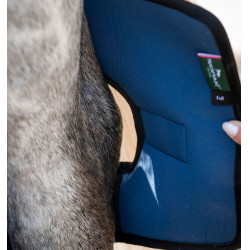 Guêtres pour jarrets Horseware Ionic® Therapy