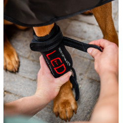 Bandages de thérapie par lumière rouge LED pour les pattes des animaux de compagnie Horseware Paire