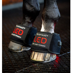 Mini bandages de thérapie par lumière rouge LED Horseware Lot de 4