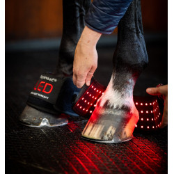 Mini bandages de thérapie par lumière rouge LED Horseware Lot de 4