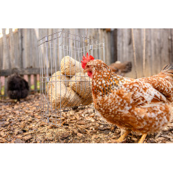 Ruif voor kleine dieren Ruif voor kleine dieren