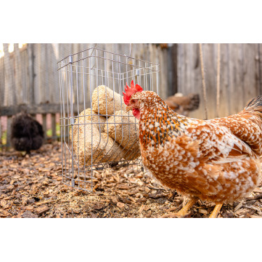 Ruif voor kleine dieren Ruif voor kleine dieren