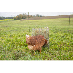 Ruif voor kleine dieren Ruif voor kleine dieren