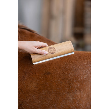 Brosse élimine les poils Magic Brush Fellboy Brosse élimine les poils Magic Brush Fellboy