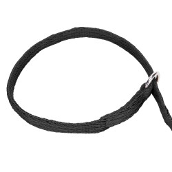 Laisse lasso chien matelassée Shires Digby & Fox | Équitation