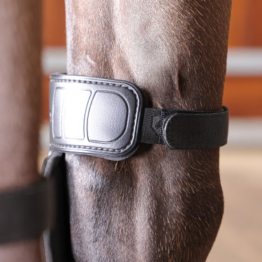 Genouillères cheval chaud/froid Shires Arma Nx-Max Genouillères cheval chaud/froid Shires Arma Nx-Max
