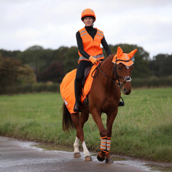 Couvre-reins réfléchissant d’équitation Shires Equi-Flector
