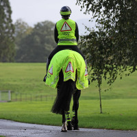 Couvre-reins en mesh Shires Equi-Flector® Jaune vif