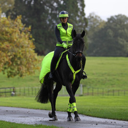 Reflecterende mesh achterdeken voor paardrijden | Shires