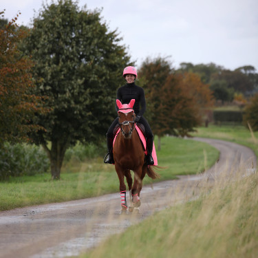 Shires Equi-Flector®-cap Felroze