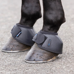 Cloches d’équitation Shires Arma Nx-Max+ antichoc