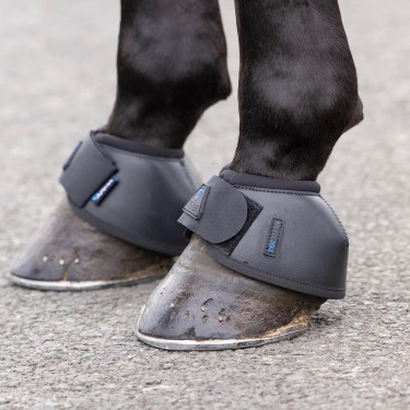 Cloches d’équitation Shires Arma Nx-Max+ antichoc
