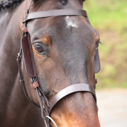 Lederen oogkleppen Shires Velociti Gara Bruin