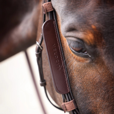 Œillères en cuir Shires Velociti Gara Marron
