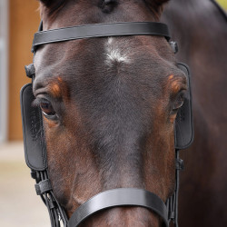 Œillères cheval en cuir Shires Velociti GARA – équitation