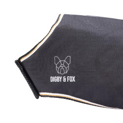 Waterdichte hondenjas voor buiten – Shires Digby & Fox