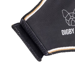 Waterdichte hondenjas voor buiten – Shires Digby & Fox