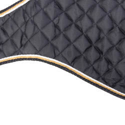 Manteau imperméable pour chien – équitation Digby & Fox
