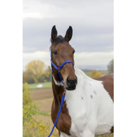 Halster + lijn Norton Rose gold Blauw