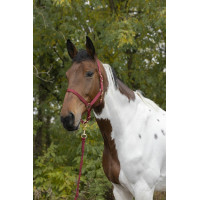 Halster + lijn Norton Rose gold Bordeaux