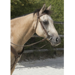 Bridon Westride door Franck Perret Colorado Bridon Westride door Franck Perret Colorado