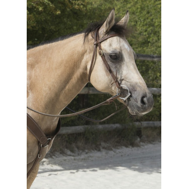Bridon Westride door Franck Perret Colorado Bridon Westride door Franck Perret Colorado