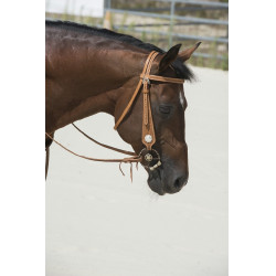 Bridon Westride door Franck Perret Aurora Bridon Westride door Franck Perret Aurora