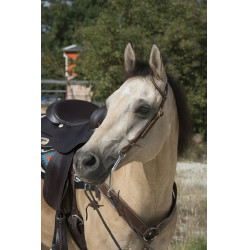 Bridon Westride door Franck Perret 1 oor Bridon Westride door Franck Perret 1 oor