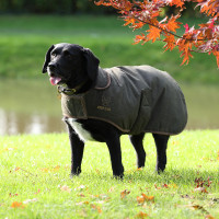 Gewaxte jas Shires Digby & Fox Olijfkleurig Groen