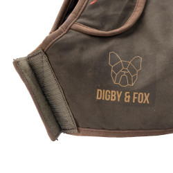 Manteau imperméable chien Shires Digby & Fox équitation
