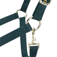 Licol réglable Shires Arma Vert