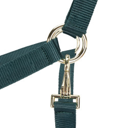 Licol réglable Shires Arma Vert Licol réglable Shires Arma Vert