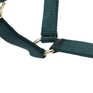 Licol réglable Shires Arma Vert Licol réglable Shires Arma Vert
