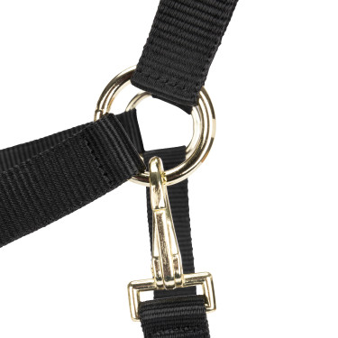 Licol d’équitation réglable Shires ARMA – cheval