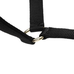 Licol d’équitation réglable Shires ARMA – cheval