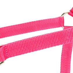 Licol réglable Shires Arma Rose