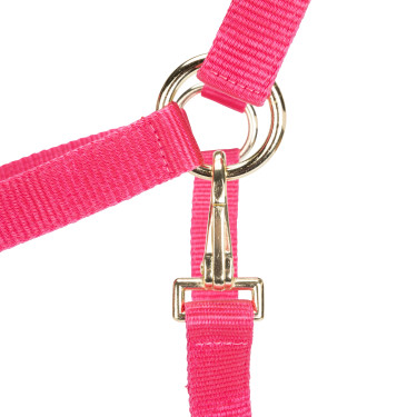 Licol réglable Shires Arma Rose