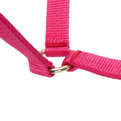 Licol réglable Shires Arma Rose