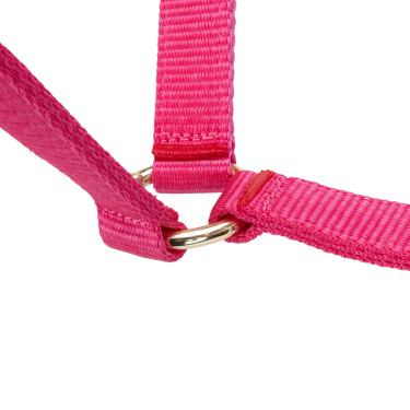 Licol réglable Shires Arma Rose