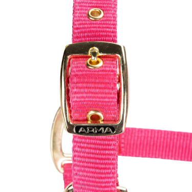 Licol réglable Shires Arma Rose
