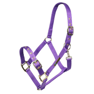 Licol réglable Shires Arma Violet