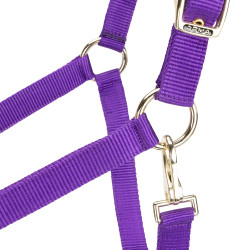 Licol réglable Shires Arma Violet