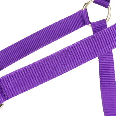 Licol réglable Shires Arma Violet