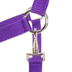 Licol réglable Shires Arma Violet