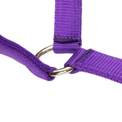 Licol réglable Shires Arma Violet