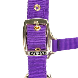 Licol réglable Shires Arma Violet